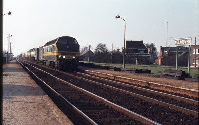 Melkouwen - TH  79-1261 (2).jpg